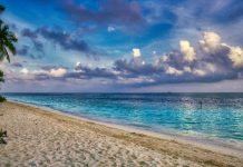 Ministro de Turismo Ali Padrón hace balance del primer semestre con crecimiento en el sector