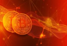 FMI: Las criptomonedas plantean importantes problemas fiscales y podrían empeorar