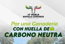 Asociación Criabúfalos invita a participar en el XIII Congreso Internacional de Búfalos a realizarse en Caracas