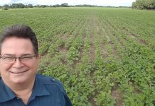 Ramón Elías Bolotín: “Debemos aplicar mejoras permanentes en maíz para garantizar la producción nacional”