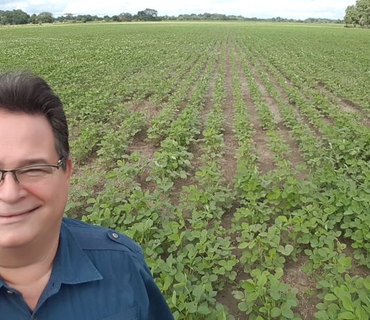 Ramón Elías Bolotín: “Debemos aplicar mejoras permanentes en maíz para garantizar la producción nacional”