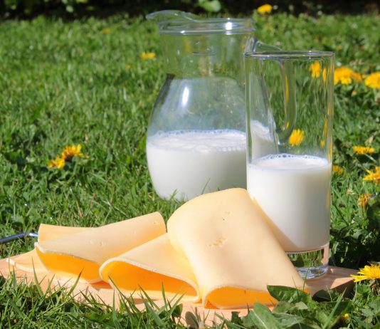 Cealco continua con su trabajo de producción de proteína animal para Venezuela