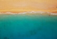 Corpotulipa dirige jornada en materia de importación y comercialización en Paraguaná