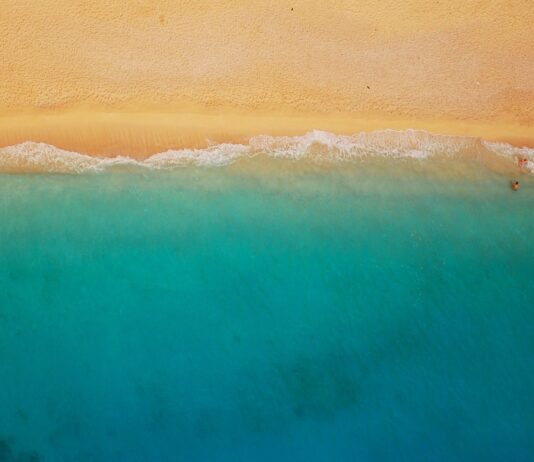 Corpotulipa dirige jornada en materia de importación y comercialización en Paraguaná