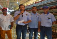 Producción avícola en Venezuela promueve inversiones nacionales e internacionales