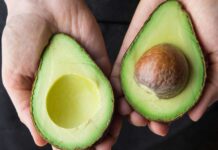 Estado Miranda se posiciona como el principal exportador de aguacate a China