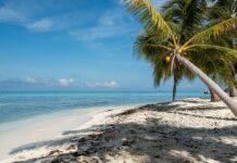 Belice impulsará el crecimiento sostenible de la economía azul con apoyo del BID