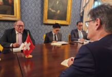 Venezuela y Suiza sostienen reunión técnica en materia de gestión de riesgos