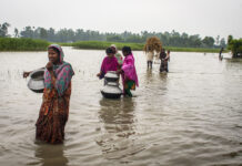 FAO publica primera estimación mundial de las repercusiones de las catástrofes en la agricultura