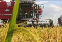 Zona Económica Especial de Oriente generará riquezas y empleos en Venezuela