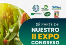 El II Expo Congreso Nacional del Maíz se realizará en Barquisimeto del 14 al 16 de marzo de 2024