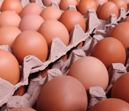 Congreso Internacional Avícola Venezuela 2023 reunirá en Carabobo a productores e importantes empresas del sector