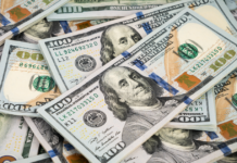 Remesas internacionales aumentaron de 128.000 a 831.000 millones de dólares entre los años 2000 y 2022