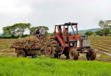 Reciente zafra de caña de azúcar deja resultados positivos