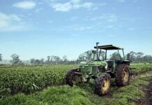 La agricultura avanza con la industria 4.0