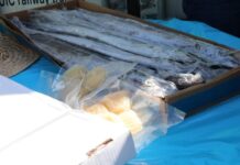 Venezuela impulsa sus exportaciones pesqueras